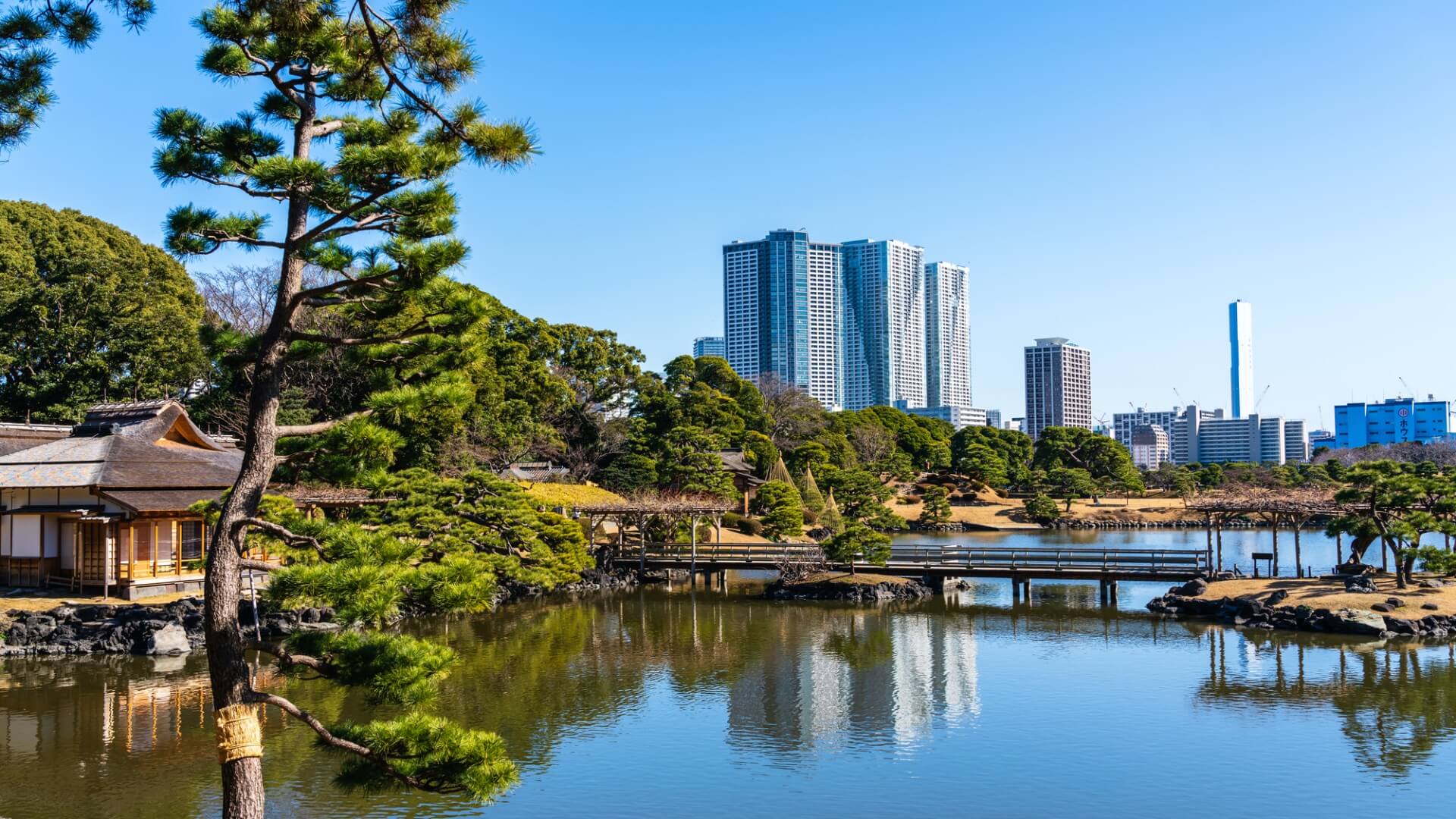 新橋導覽 好運日本行