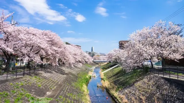 多摩市