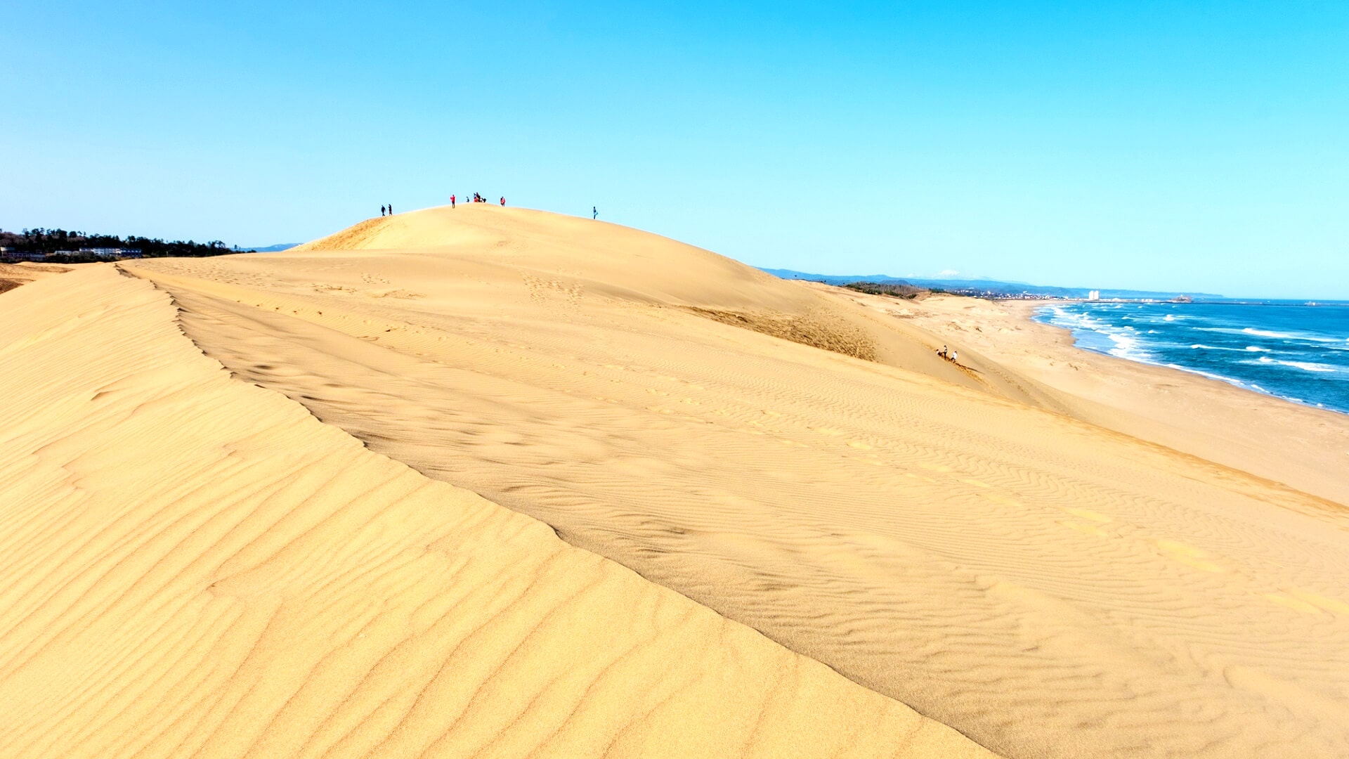 Tottori Travel Guide