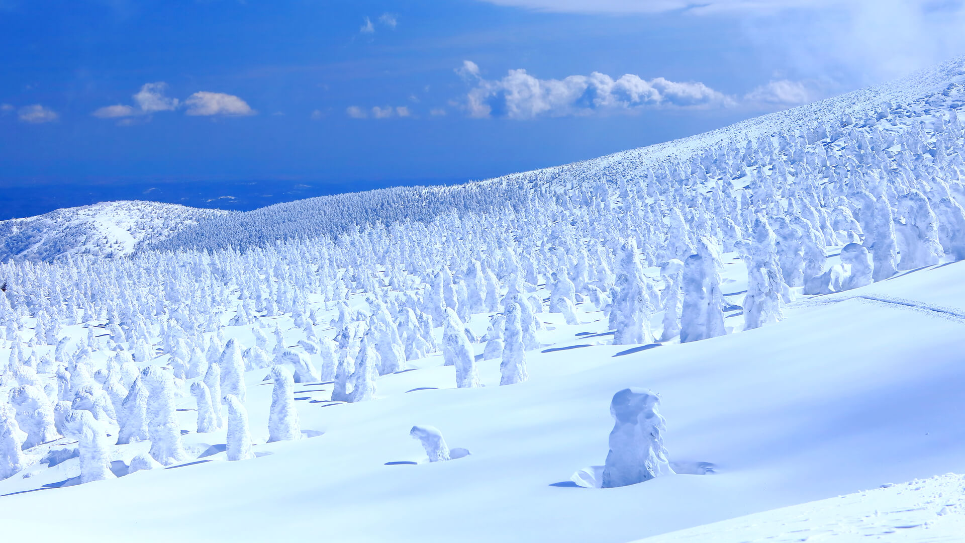 Yamagata Travel Guide