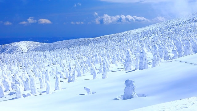 山形導覽