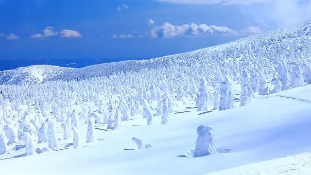 Yamagata - Guide de voyage