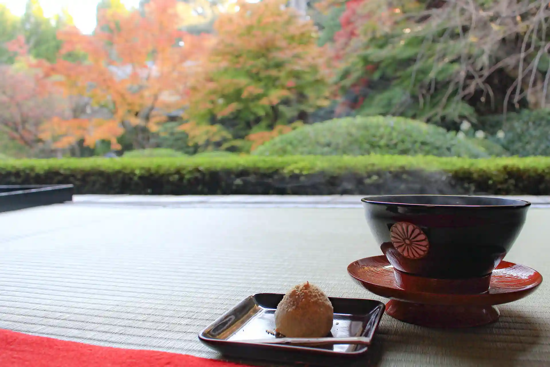日本茶旅特輯
